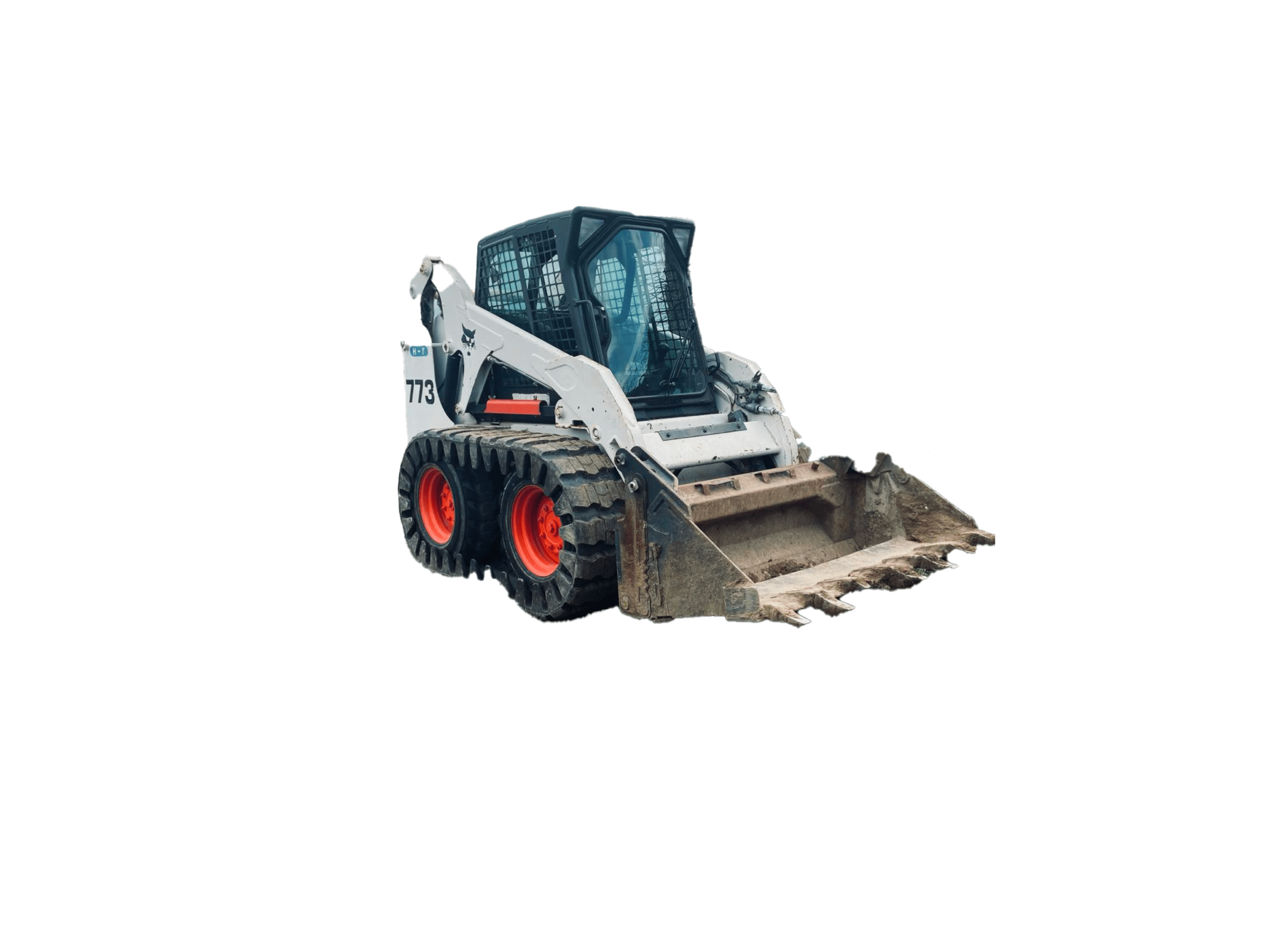 bob cate bob cat entouré de blanc comme un sticker