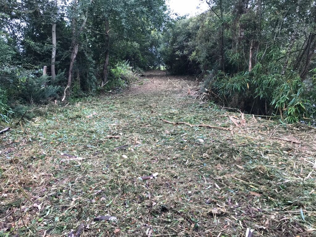 chantier de broyage fini et débroussaillge forestier par guem aménagement
