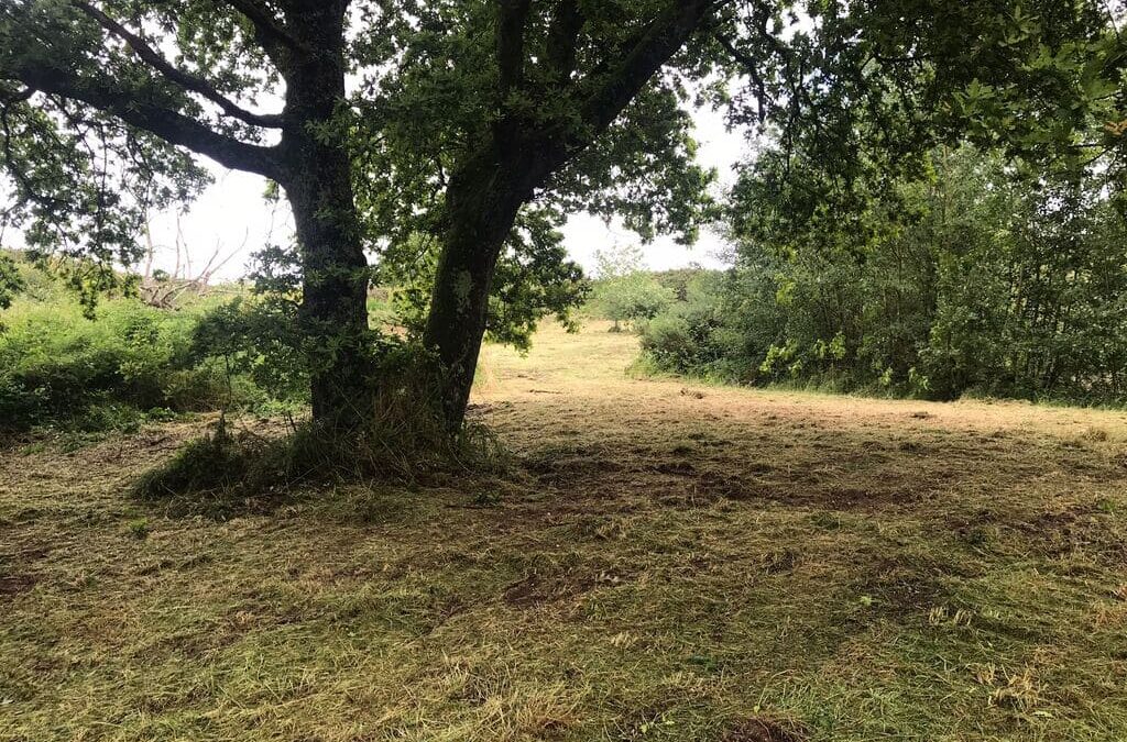 Chantier broyage – Blain
