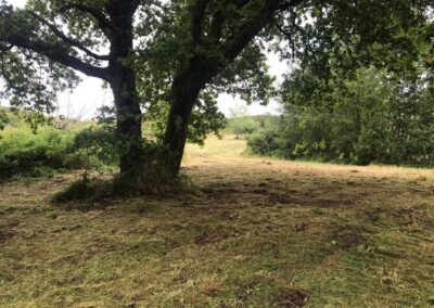 Chantier broyage – Blain
