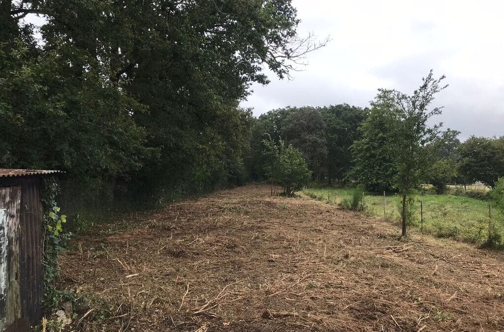Chantier de broyage – Treillières