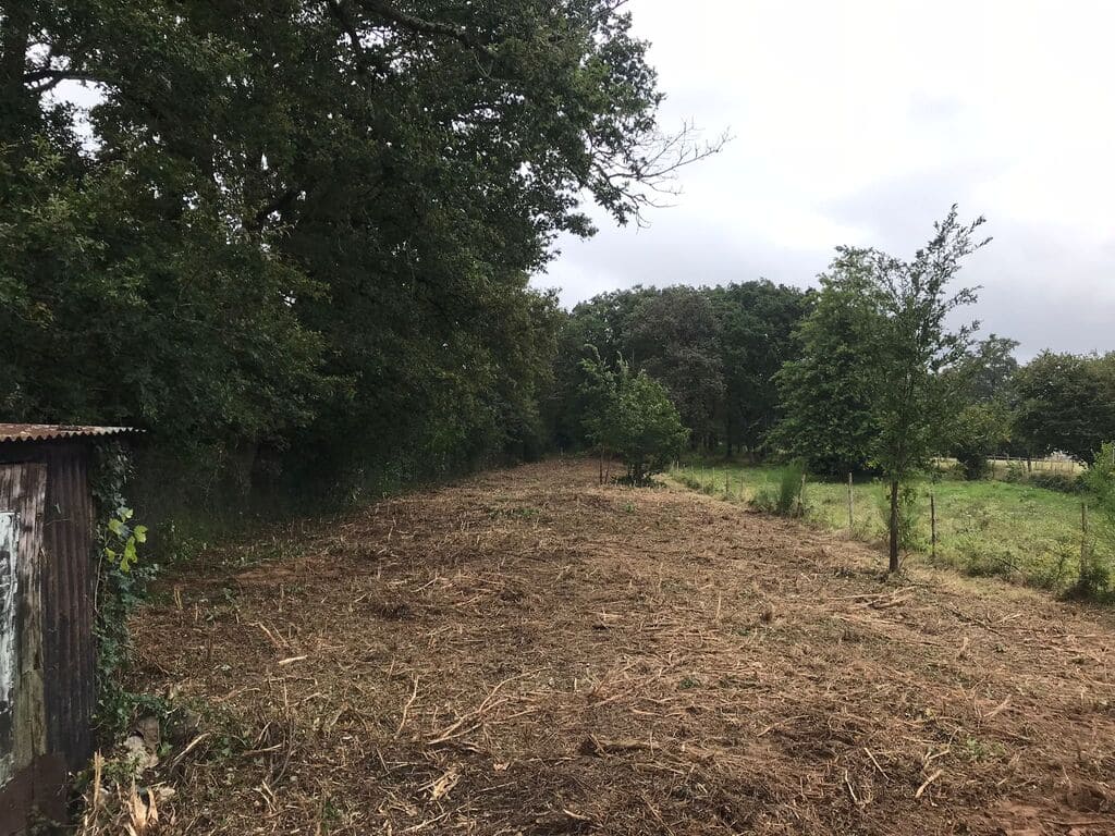 chantier de broyage fini