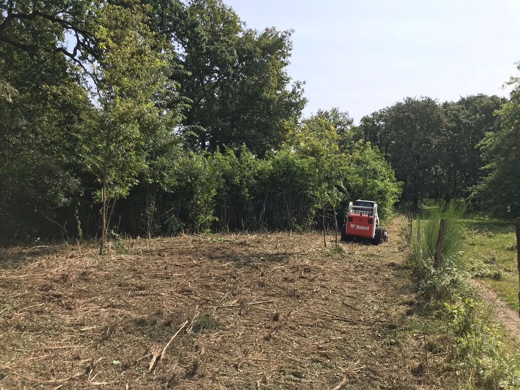 chantier de broyage fini avec bobcat
