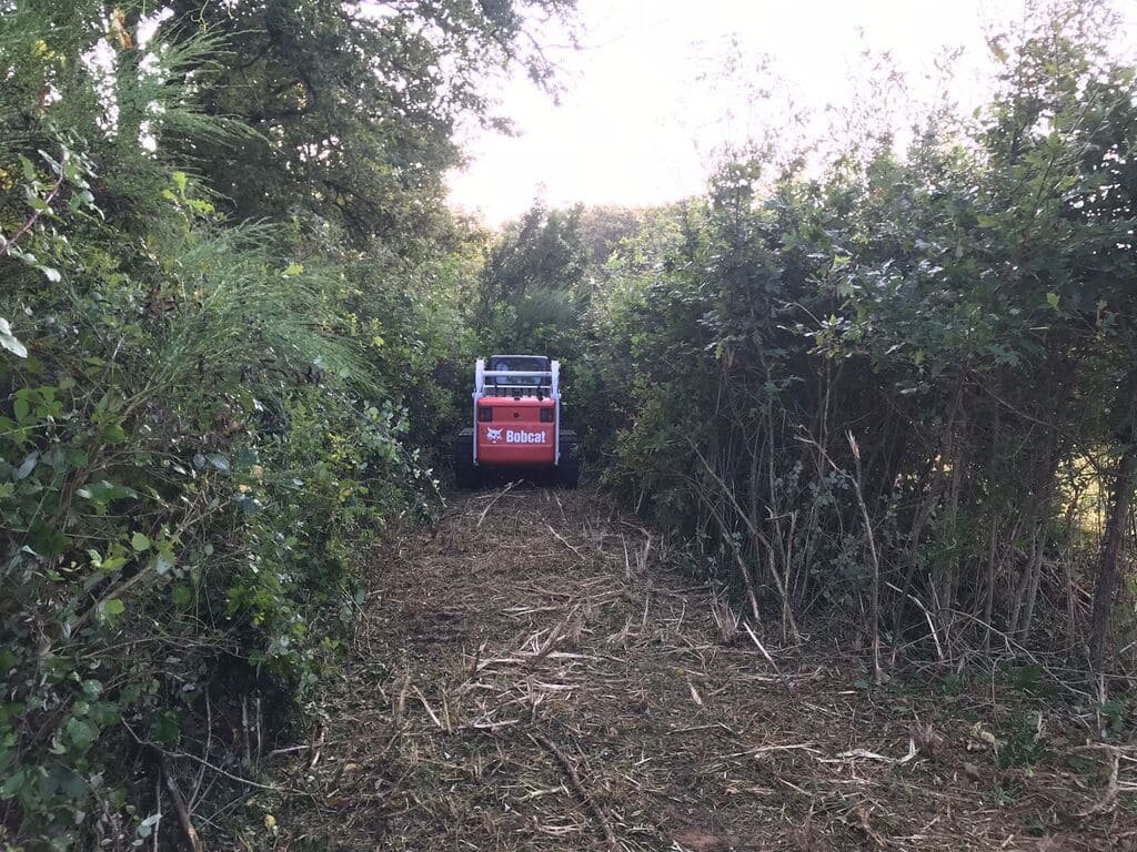 chantier de broyage fini avec bobcat
